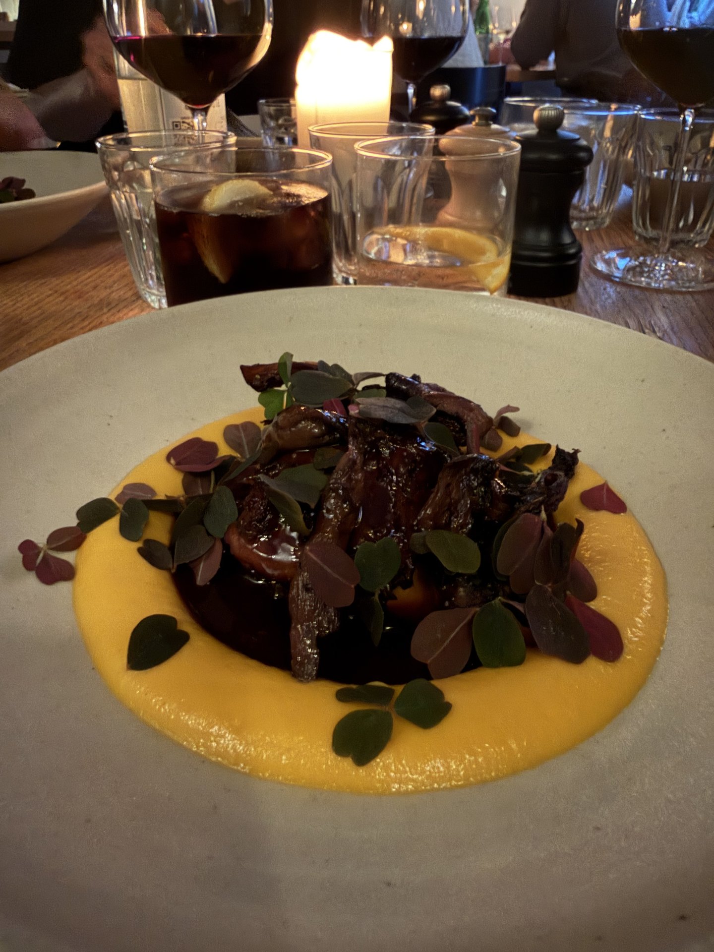 A close-up shot captures a beautifully plated dish featuring dark meat on a vibrant yellow purée, garnished with small leaves, set on a white plate